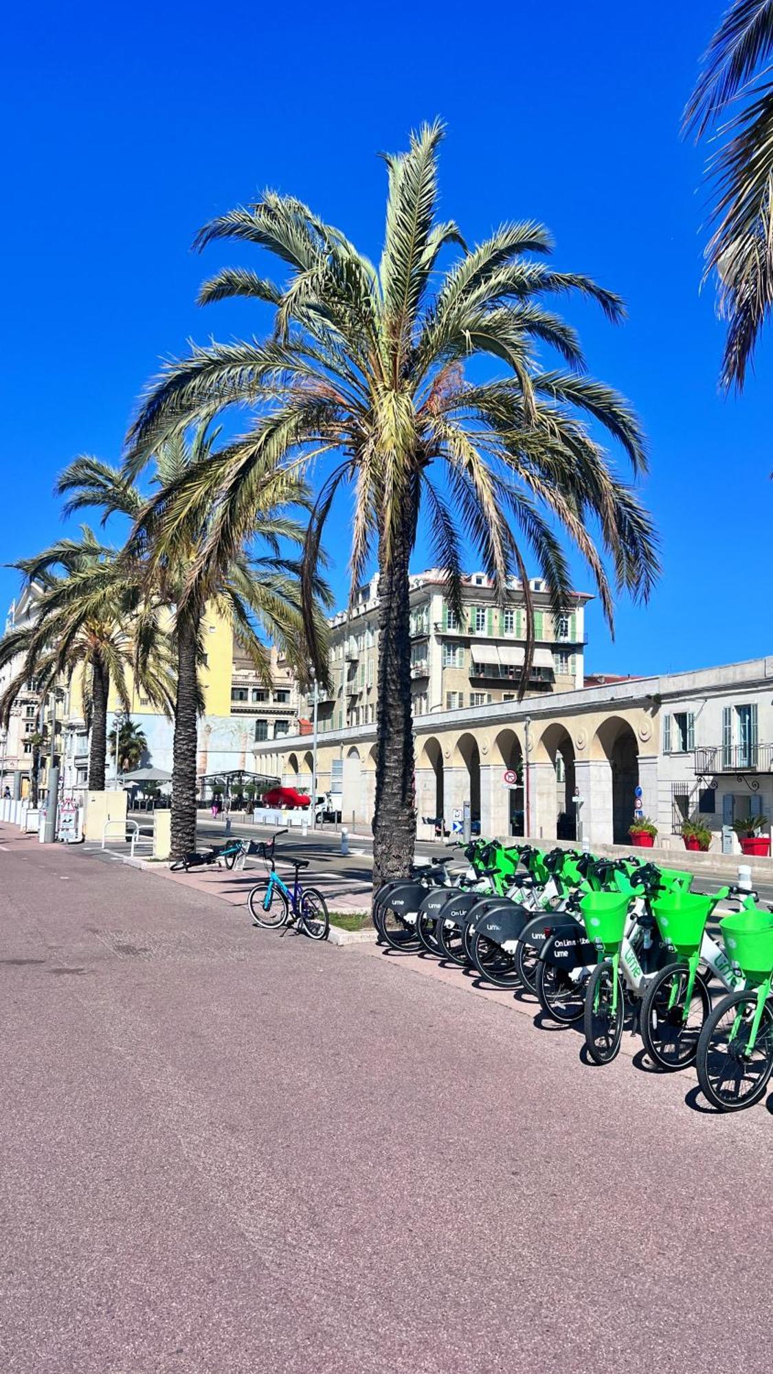 Le Saint Honore A 500 Metres A Pied De La Nice